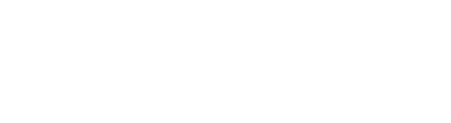 Logo-CNS